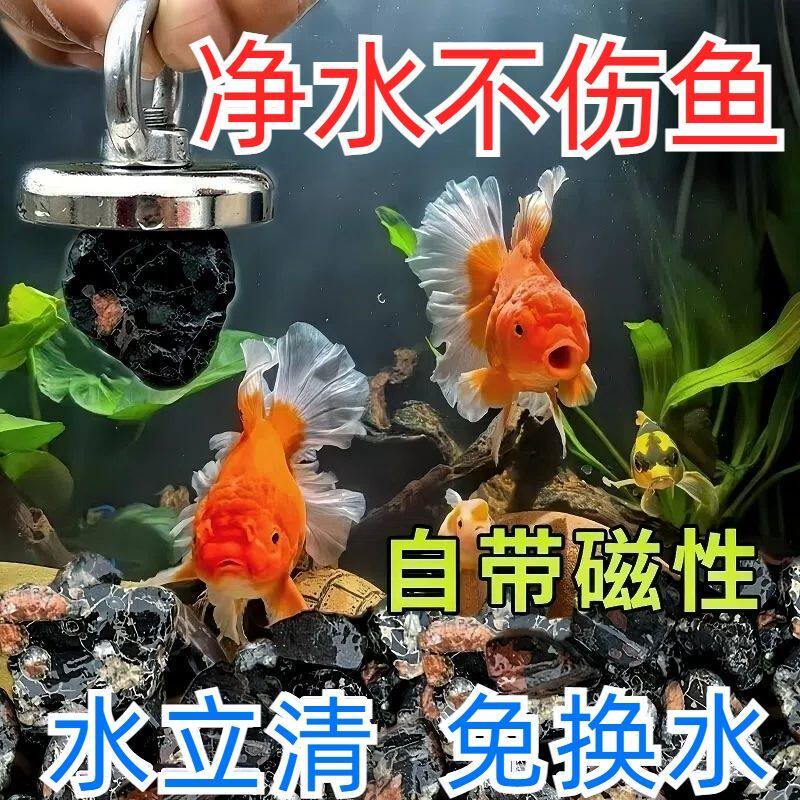 天然净水神器梅花石原生态除臭去腥鱼池造景滤材安山玉岩石净水石