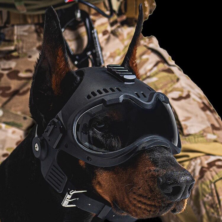 战术兵K9犬安全帽大号犬
