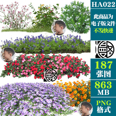 花丛花朵花草花卉花海免扣PNG免抠图片风景园林景观设计PS素材