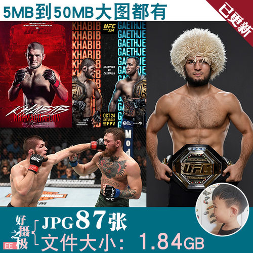 小鹰哈比布ufc明星格斗搏击武馆4K8K超高清图片海报JPG素材电子版