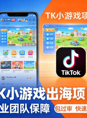 TK小游戏出海专案新风口对接流量主刷广告赚钱变现包快速上架盈利