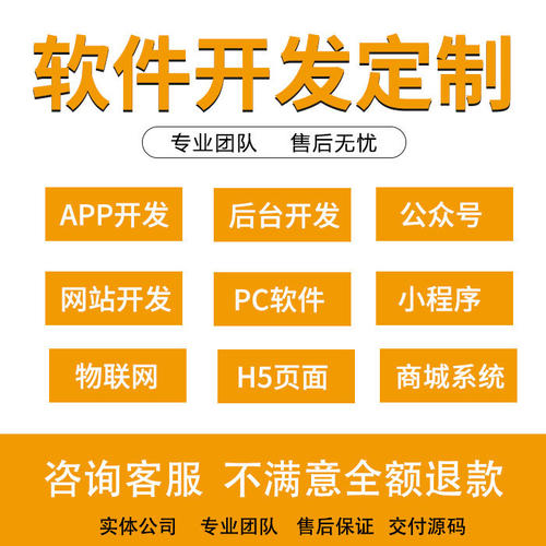 软体开发软体定制开发商城app开发定制小程序开发物联网企业网站