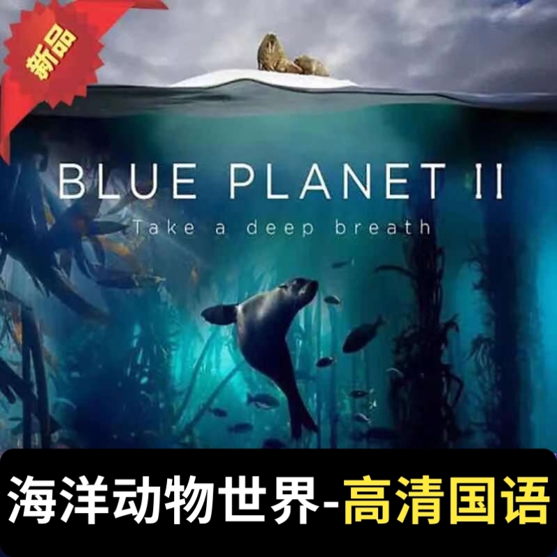 BBC纪录片U盘海洋世界知识科普蓝色星球国语MP4高清视频优盘