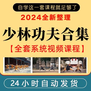 少林功夫七十二绝技视频教程武术外家拳器械拳禅少林内功气功教学
