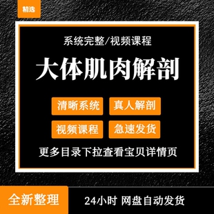 大体解剖肌肉解剖神经血管解剖学真人解剖视频运动解剖针刀解剖