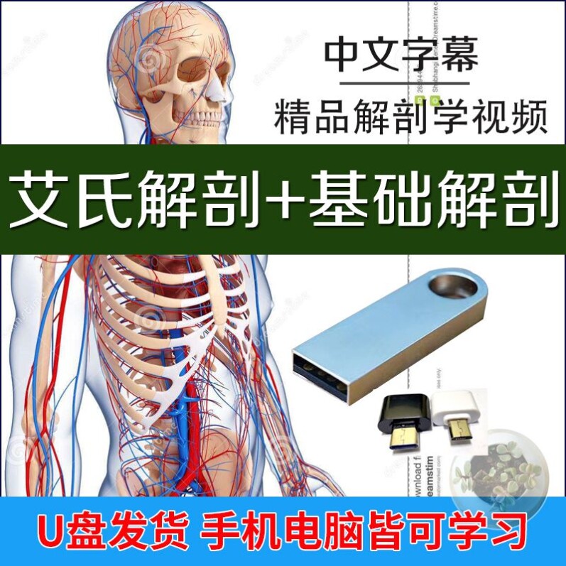 车载U盘艾氏解剖德国基础解剖学教学视频解剖学经典教程大体解剖