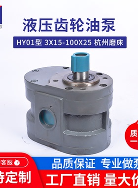齿轮油泵HY01-100X2570*25杭州平面磨床M7130 M7132 M7140液压泵B