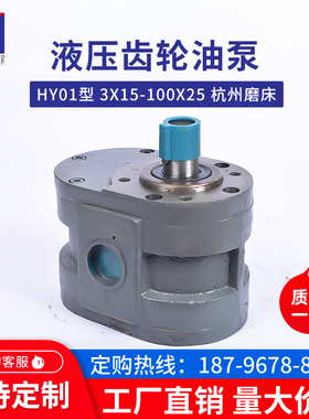 齿轮油泵HY01-100X2570*25杭州平面磨床M7130 M7132 M7140液压泵B