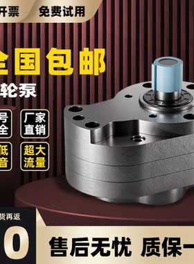 齿轮泵CB-B6/10打压泵电动CB-B/25液压油泵小型泵头自吸泵高温泵