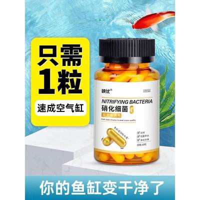 硝化细菌鱼缸专用净水剂胶囊养鱼水质净化消化培养菌分解鱼粪