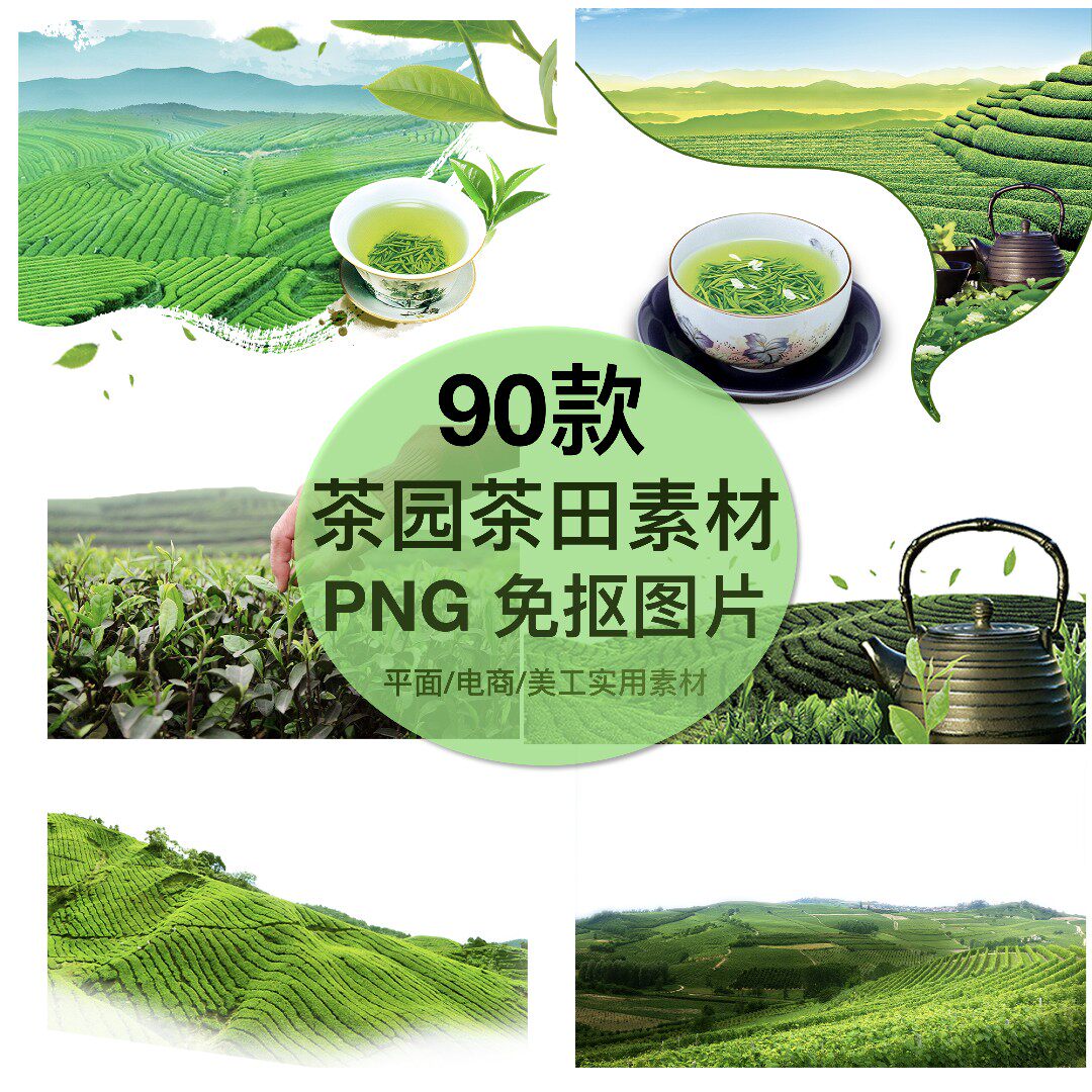 图库 茶山茶场采茶园图片免抠png卡通人物炒青嫩芽ps设计素材图片