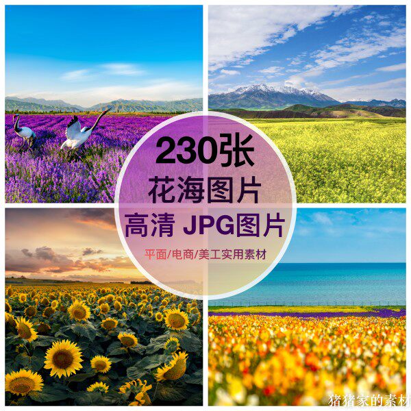 高清图库 花田花海图片素材花卉花朵自媒体抖音快手手机电脑壁纸