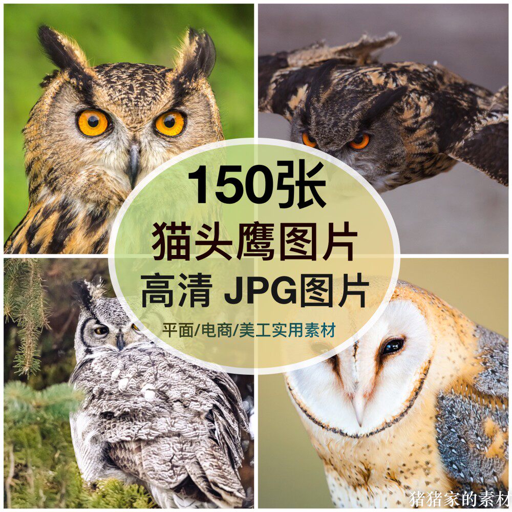 高清图库 动物猫头鹰图片装饰画芯打印喷绘绘画手机摄影壁纸素材图片