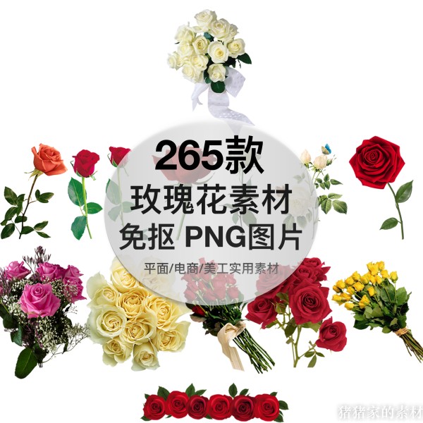 玫瑰花图片白玫瑰黄玫瑰婚礼情人节png格式透明免抠元素设计素材