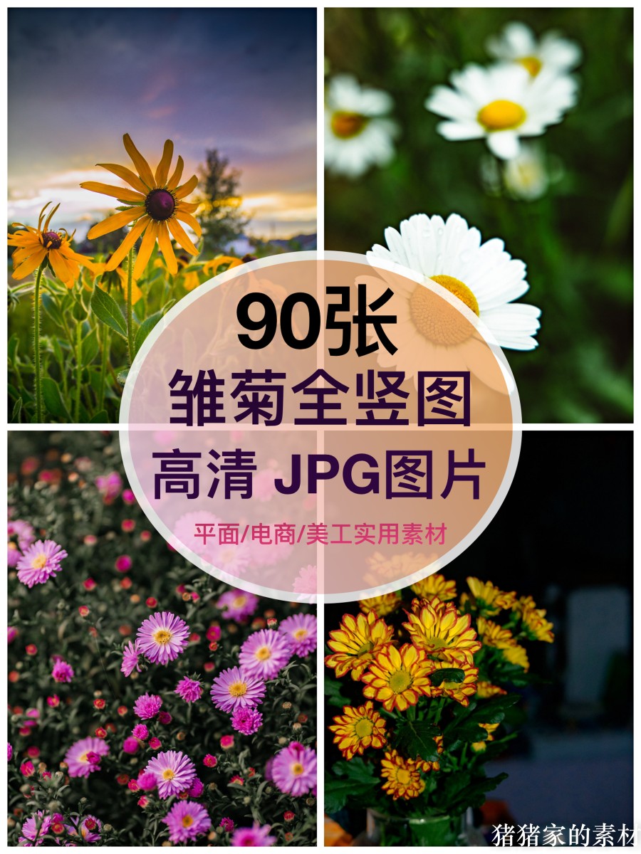 高清全竖屏清新小雏菊图片多花花朵抖音图文手机壁纸绘画写生素材