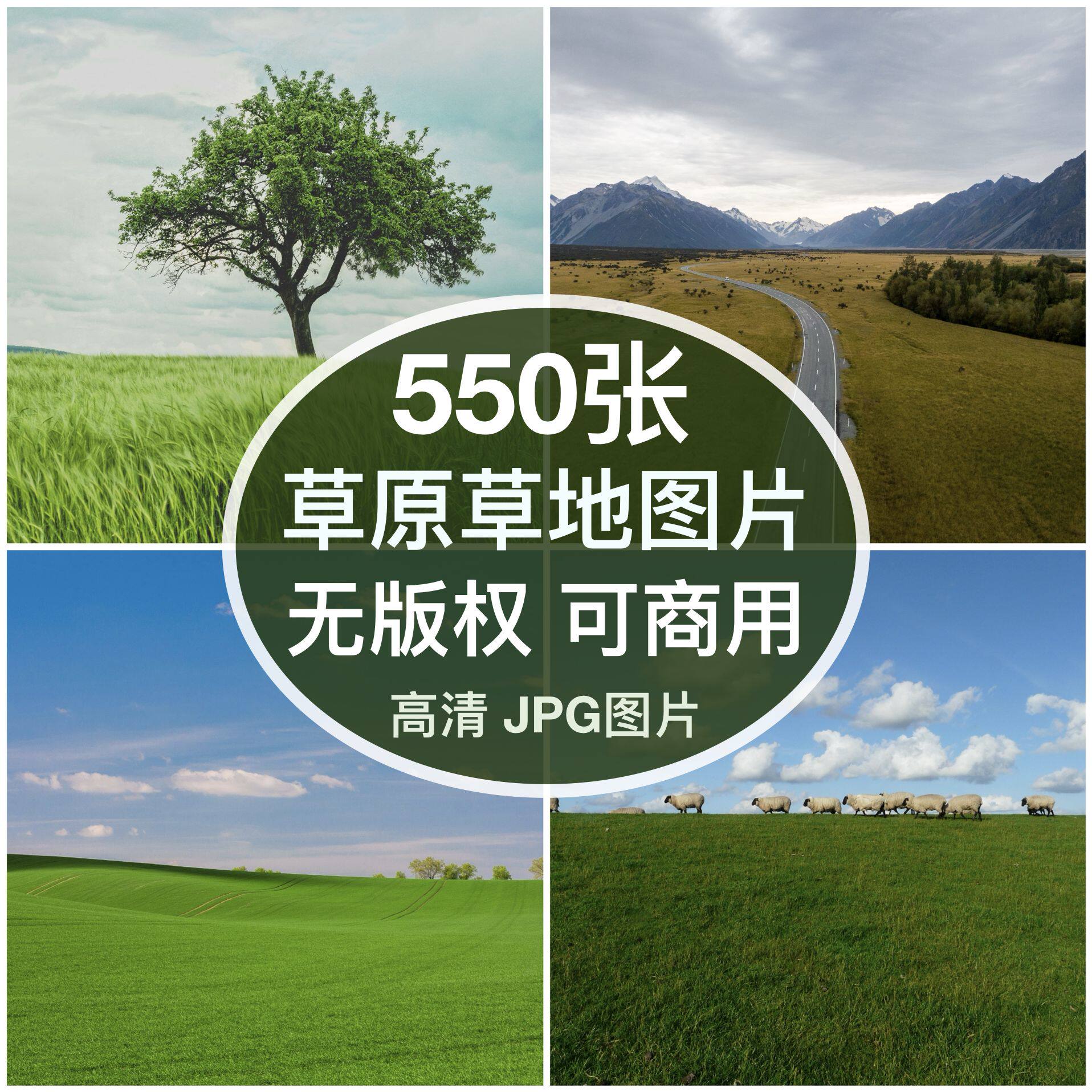 可商用︳高清草原草地图片自然风景草甸草坪自媒体配图背景无版权图片