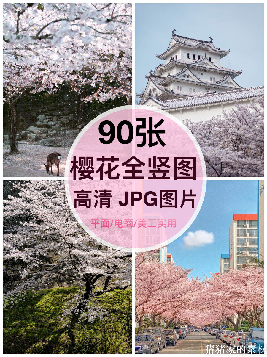 高清全竖图片 日系浪漫樱花树花朵自媒体抖音PS设计手机壁纸素材图片