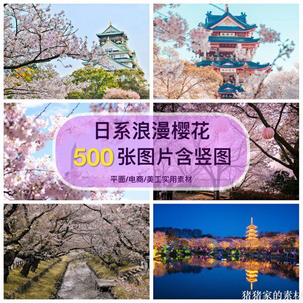 高清含竖图片日系浪漫樱花树花朵自媒体抖音装饰设计手机壁纸素材图片