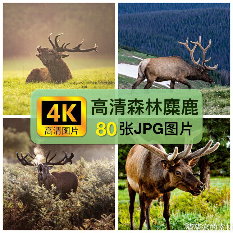 4K高清图库森林麋鹿风景图片北欧风摄影绘画装饰画芯手机壁纸素材图片