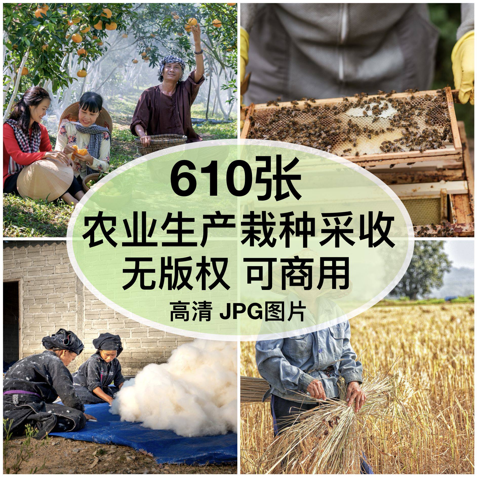 可商用｜高清农业生产栽种采收图片丰收耕田自媒体配图背景无版权图片
