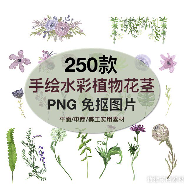 植物图库 手绘水彩花瓣花蕊茎枝叶环png图片免抠透明ps设计素材图片