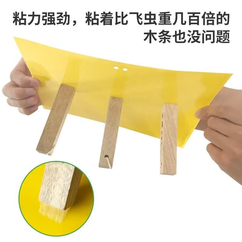 纸贴灭小飞虫沾黏菜场菜地温室养殖场粘飞虫粘蚊花房虫板粘虫板在类目 鲜花速递/花卉仿真/绿植园艺, 园艺用品, 其它园艺用品中 - 来自Buy2taobao.com提供专业的淘宝代购服务