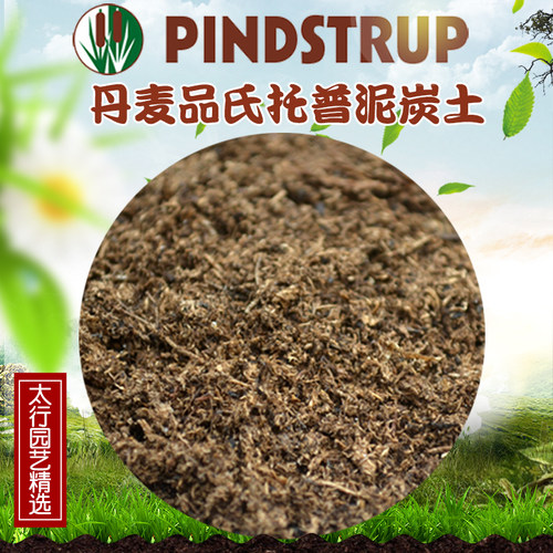 丹麦月季多肉种植草炭土