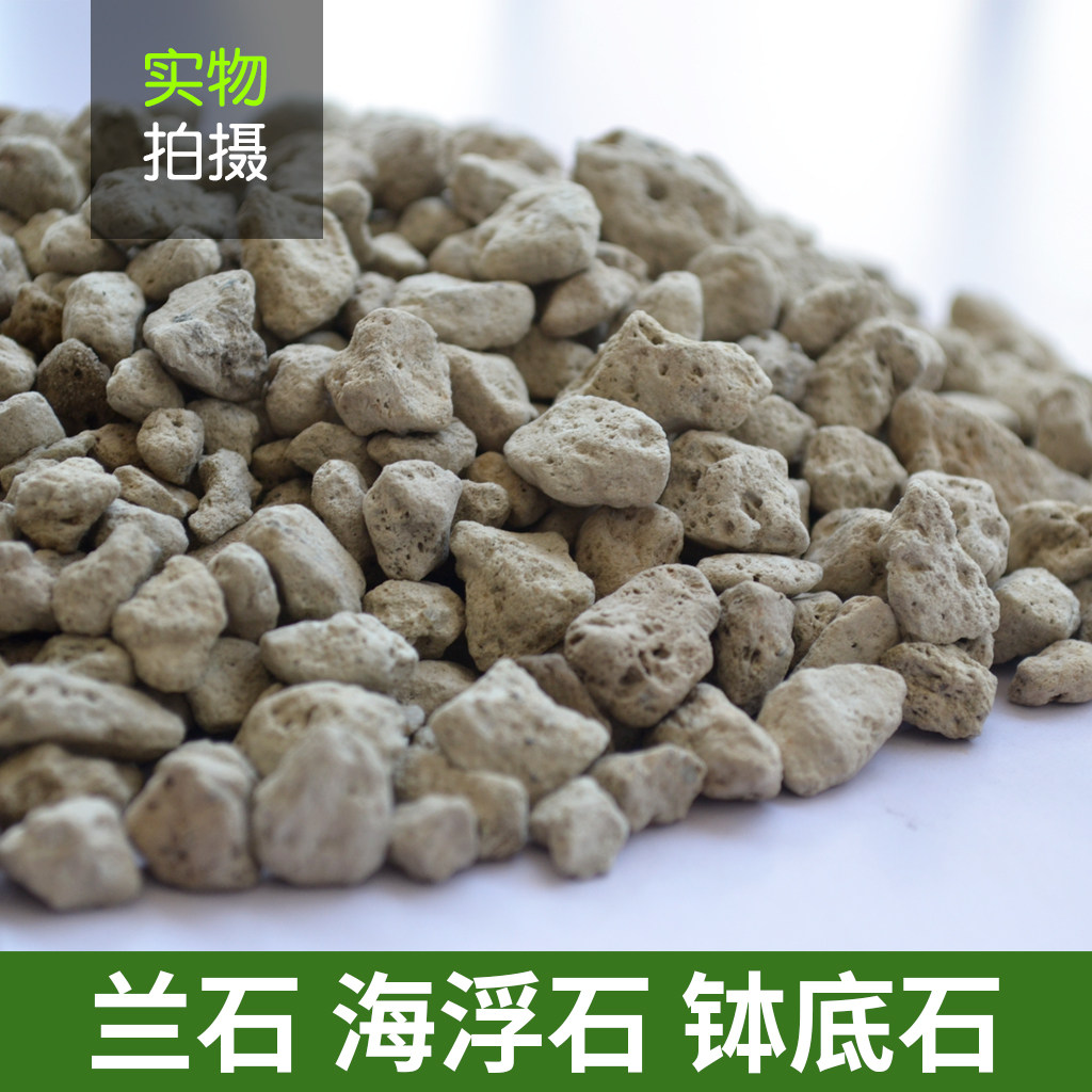 轻石颗粒 浮石钵底石兰石媲美日向石多肉兰花铺面垫底石水族滤材