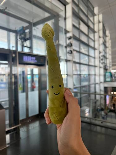 jellycat蔬菜水果茄子小白菜韭葱