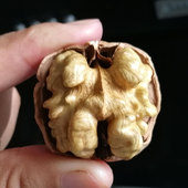 2025蓟县薄皮纸皮原味干核桃蓟州孙各庄薄皮纸皮生核桃特产非新疆