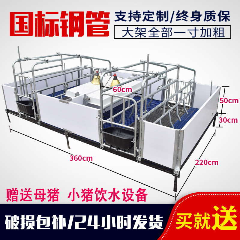 母猪产床国标2.0热镀锌管pvc隔板设计欧式双体猪用分娩床养殖设备