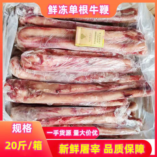 新鲜牛鞭整根净牛鞭滋补食材