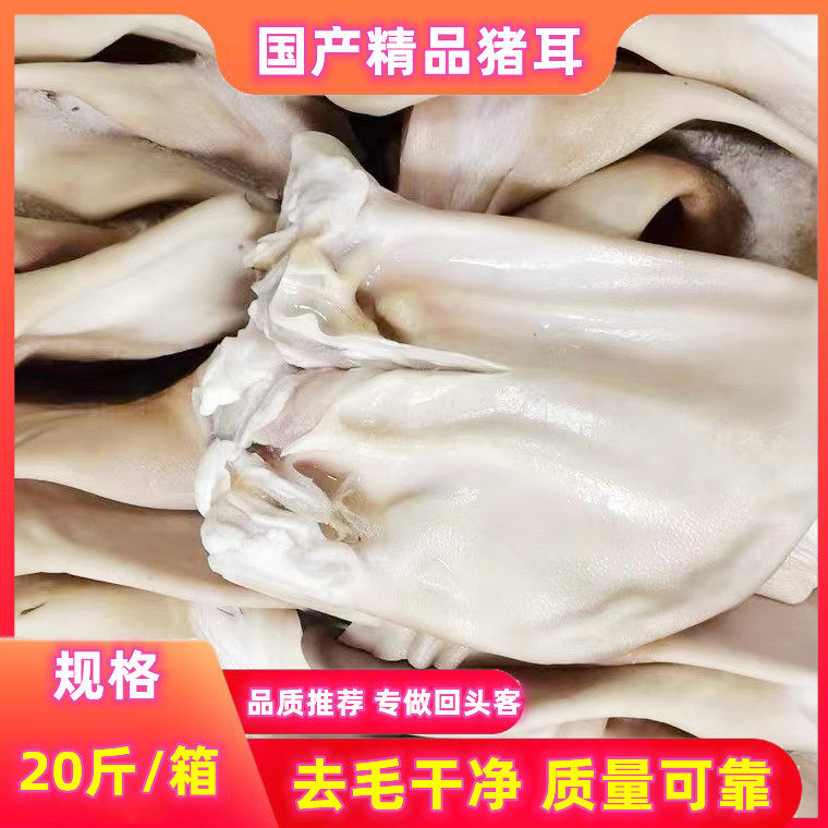 猪耳朵冷冻 猪耳片耳尖生猪耳 带根猪耳朵 20斤整箱 卤菜饭店包邮