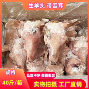 新鲜冷冻带皮生羊头 40斤整只羊头肉羊脑羊耳羊舌非熟食餐饮商用