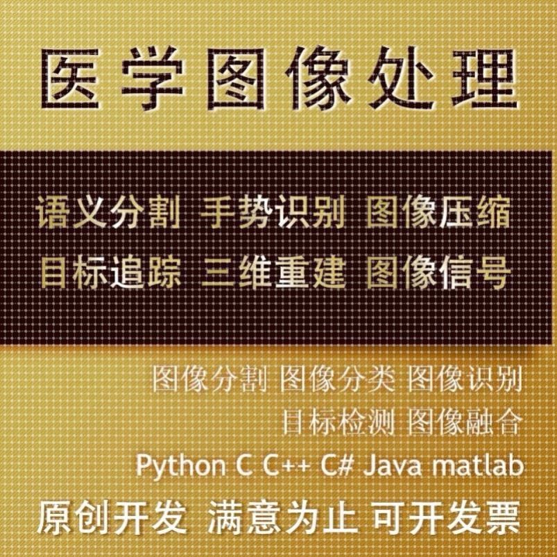 Python代编医学图像分割深度学习语义分割计算机视觉生成对抗网络