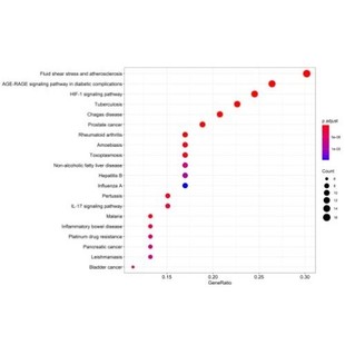 ?微生物16S菌株鉴定宏基因组比较分析生信服务?