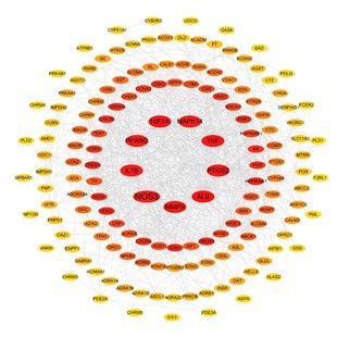 使用 qiime2安装 扩增子分析 微生物组数据分析 16s数据分析