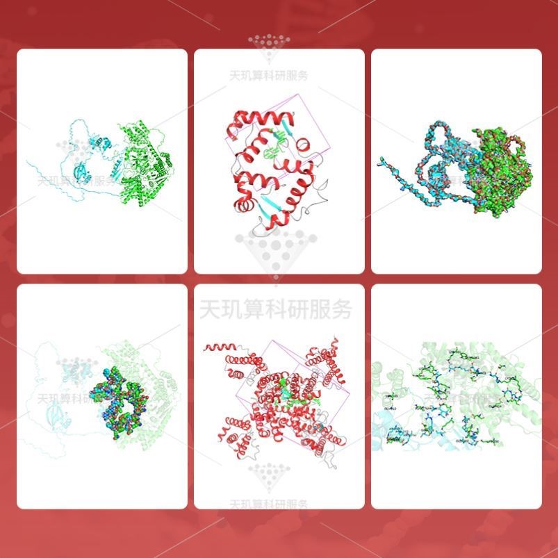 分子对接 代算服务  蛋白对接互作 分子动力学 Gromacs lammps MD