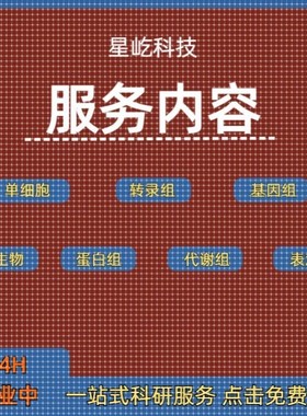 Materials Studio分子动力学模拟ms软件中英文视频MS中文系列教学