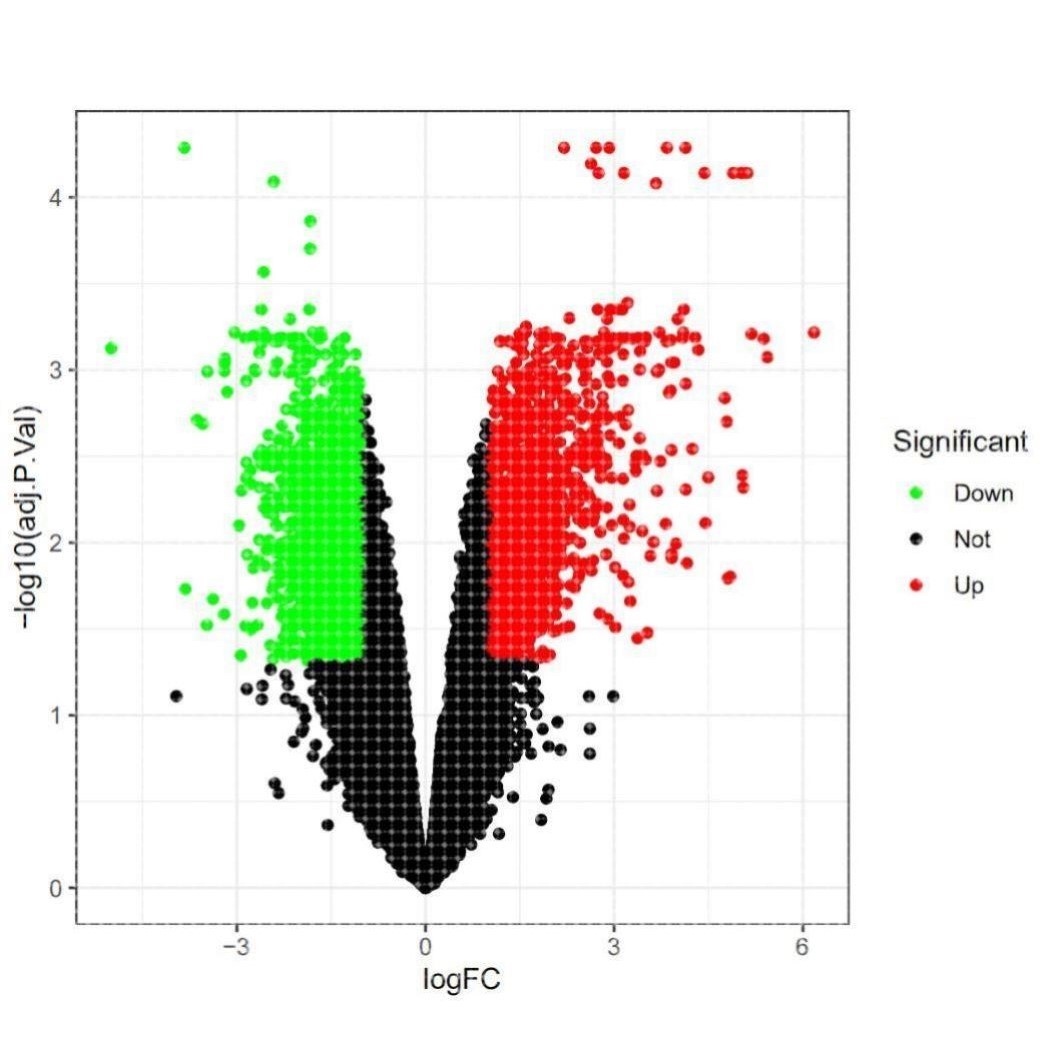 GEO,TCGA数据库挖掘,差异基因分析,火山图热图,网络药理学