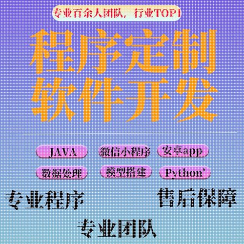 python代编码小程序定制java项目数据分析深度学习代码编写爬虫