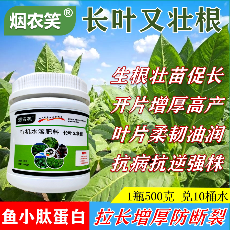 烤烟促进生长叶片油润肥大拉长增厚壮烟宝叶连根长好烟抗病害