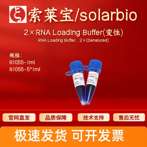 索莱宝solarbio 2×RNA Loading Buffer(变性)R1055 1ml 5*1ml