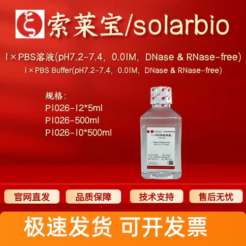 索莱宝 1×PBS溶液(pH7.2-7.4 0.01M,DNase&RNase-free)P1026科研
