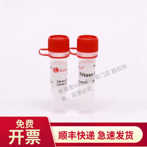 索莱宝RNaseA溶液10mg/ml