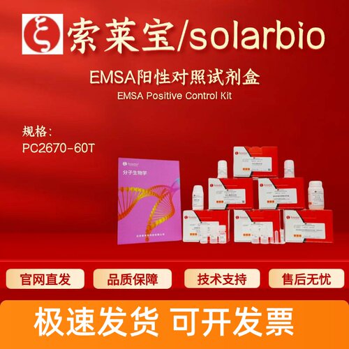 索莱宝 solarbio EMSA阳性对照试剂盒 PC2670 60T 科研实验