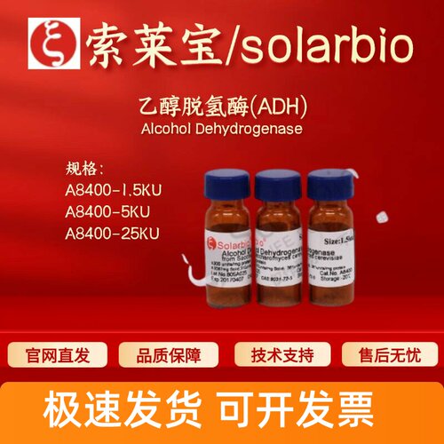 索莱宝Solarbio 乙醇脱氢酶(ADH) A8400 300u/mg 9031-72-5 试剂