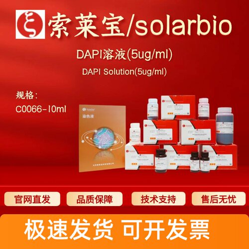 索莱宝 DAPI溶液(5ug/ml) C0066 10ml 28718-90-3 染色试剂