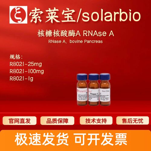 索莱宝solarbio 核糖核酸酶A RNAse A R8021 9001-99-4 科研试剂