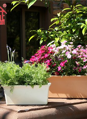 38包邮诚信花盆SEISHIN 亚麻风格长方形花盆加厚塑料花槽草花菜盆